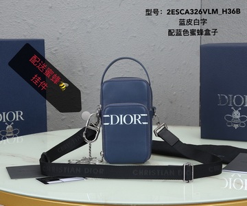 DIOR Handbags 605